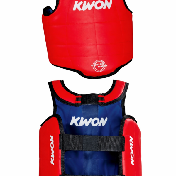 Plastron réversible
